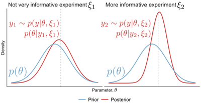 Amount of information contained in an experiment is quantified as the reduction in entropy from the prior to the posterior distribution of the parameter $\theta$. The grey dashed line indicates the true value of $\theta$.